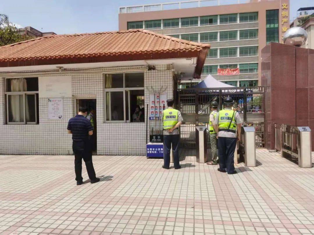 谷打一生肖、与积极行动的完美结合