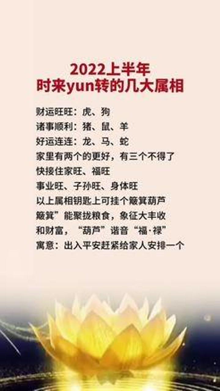 和风细雨中的生肖智慧 真相、解释与落实的完美融合