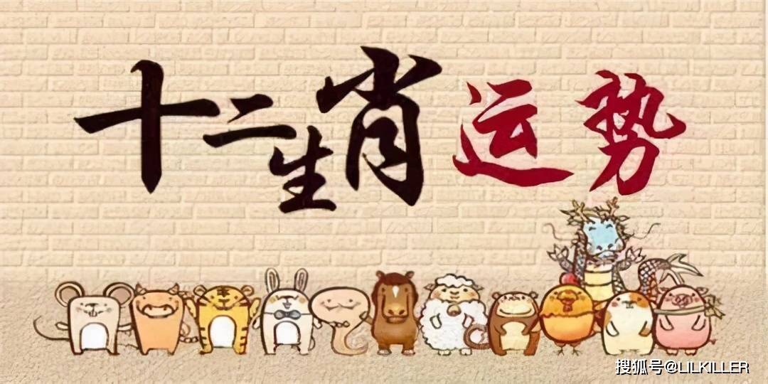 迫不及待打一生肖、定量解释落实