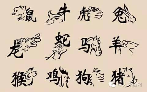 敌字打一生肖、结论作答落实解释