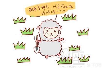 丫打一生肖、的精准解答与落实精神