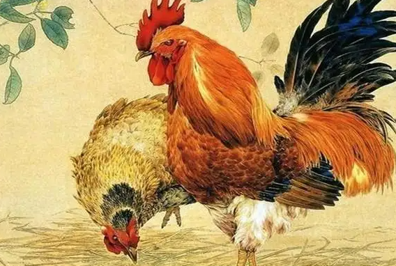 思念打一生肖、采民作答落实解释