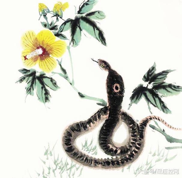 蛇鼠一窝打正确生肖，能人解释与现代生活的落实