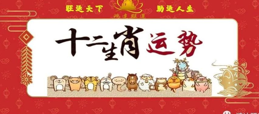 一视同仁打一生肖、积极作答，落实解释