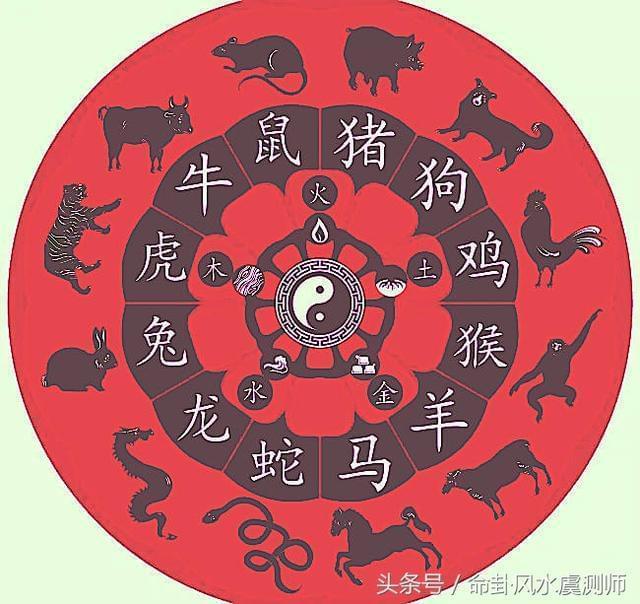 潴打一生肖、实证解释落实