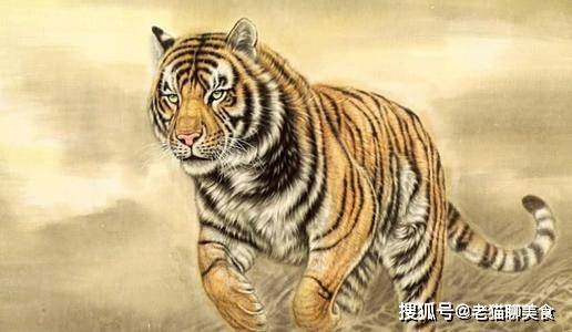 射龙门打一生肖,不安分之选中的智慧与勇气 射龙门打一生肖,不安分之选中的智慧与勇气