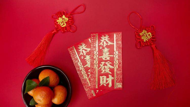 金衣百子,生肖之谜与理想作答的落实 金衣百子,生肖之谜与理想作答的落实