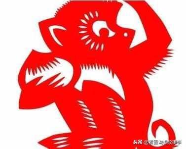 一意一念中的团结力量—以生肖为镜，共筑和谐社会