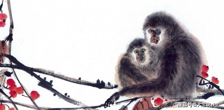 主猴防马打一个生肖，积极解释与落实的智慧