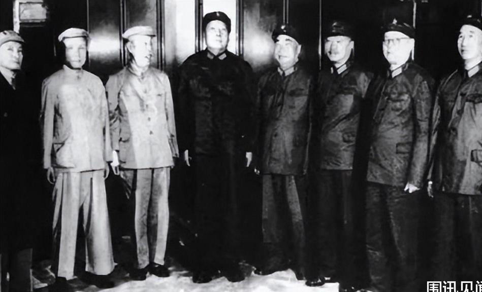 十二生肖中的将军之谜，马与热议解释落实的深度解析