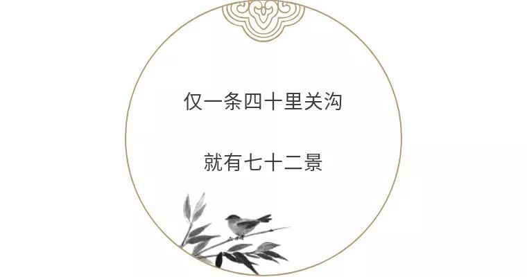 朝朝暮暮话生肖，解读打一生肖的深层含义与文化寓意