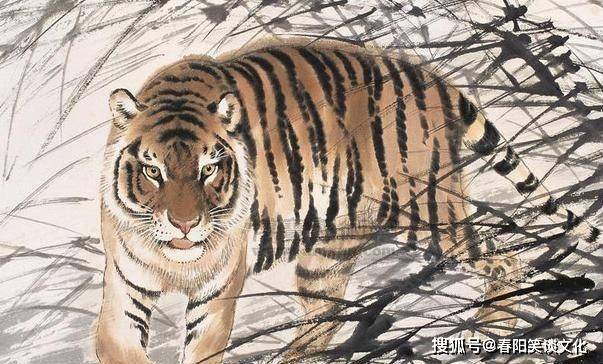 风调雨顺打一生肖动物、一场误导解释的落实与反思 风调雨顺打一生肖动物、一场误导解释的落实与反思