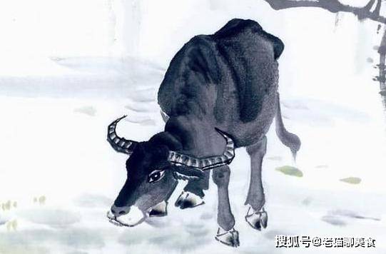 今期生肖夜出洞，揭秘如何选择并落实正确的生肖策略