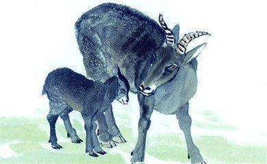 再生父母打一生肖、的动物智慧与战略运用 再生父母打一生肖、的动物智慧与战略运用