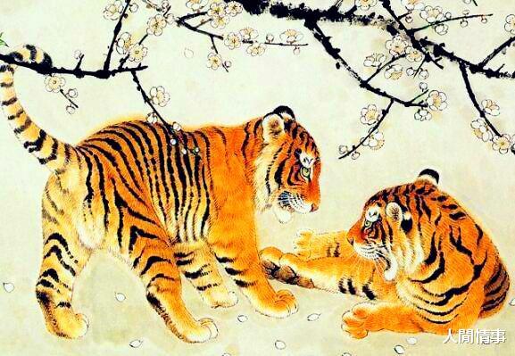 今期生肖开虎龙,和谐共舞的智慧与启示 今期生肖开虎龙,和谐共舞的智慧与启示