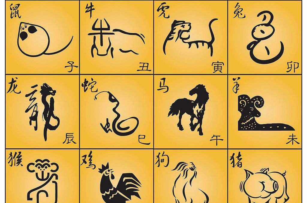 眼睛打一生肖或数字、全面解析与落实 眼睛打一生肖或数字、全面解析与落实