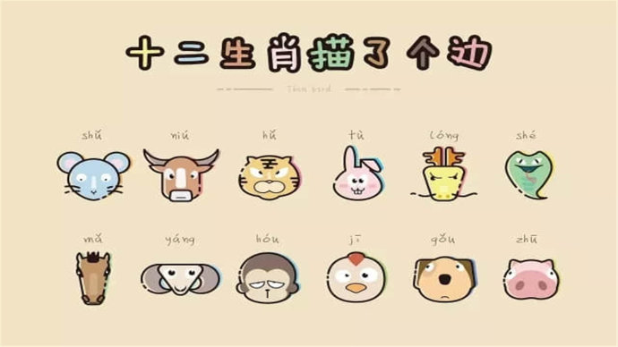 揭秘宵打一个生肖的奥秘，正确解释与落实