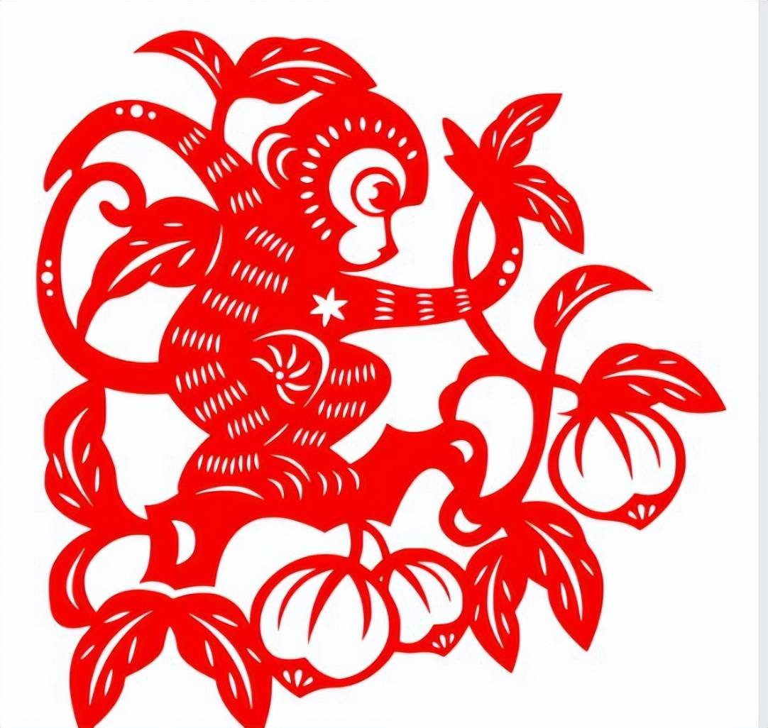 椿打一生肖、新型作答落实解释