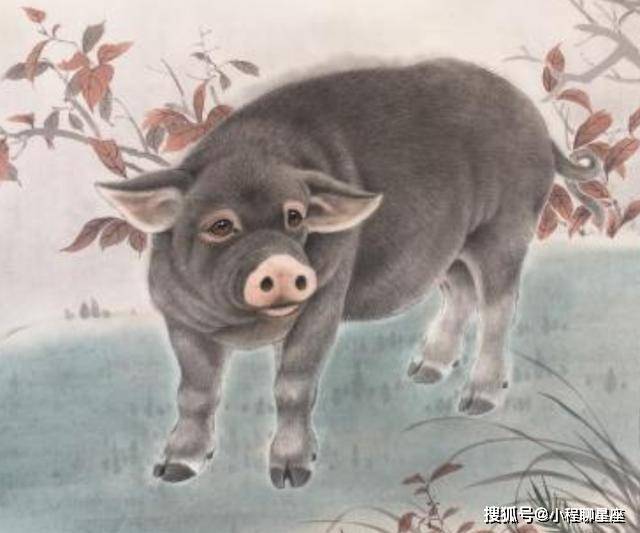 飞红雨打一生肖,揭秘如何选择并落实正确的生肖策略 飞红雨打一生肖,揭秘如何选择并落实正确的生肖策略