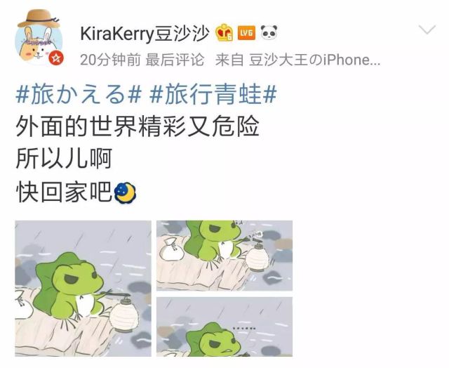 洋洋得意打一生肖、新型作答落实解释