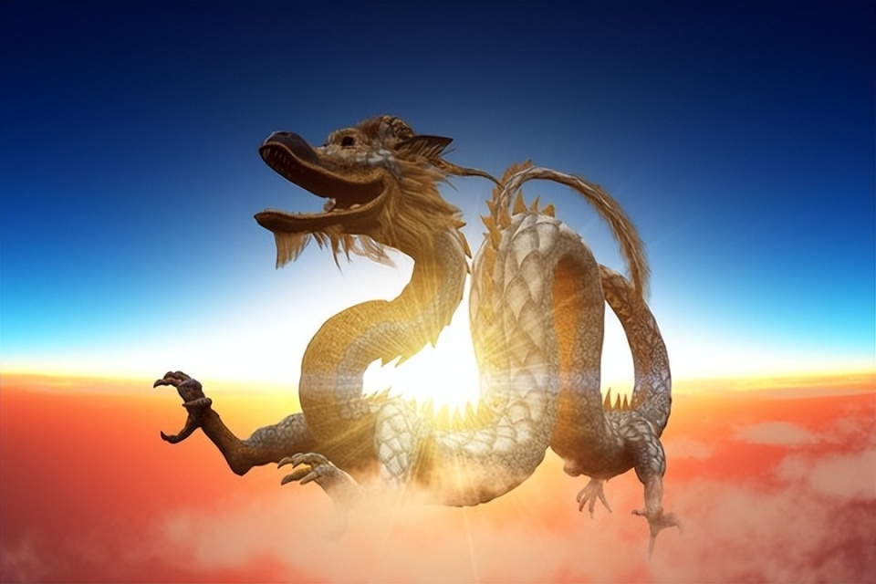 真龙打一生肖、背后的坚韧与不屈