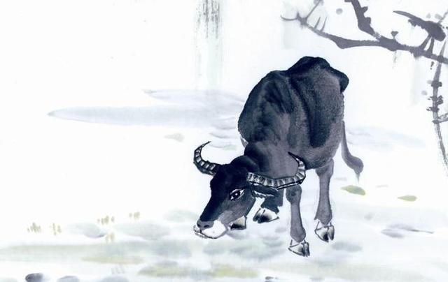 旭光打一生肖，以勤奋与坚持照亮前程的生肖—牛