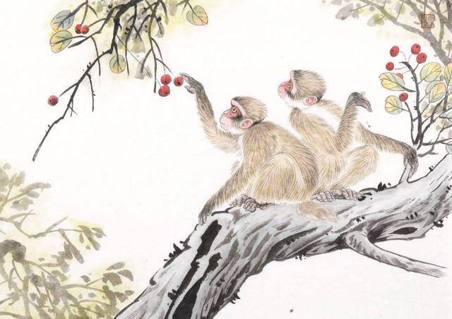 思前想后打一生肖、深度解析与智慧思考