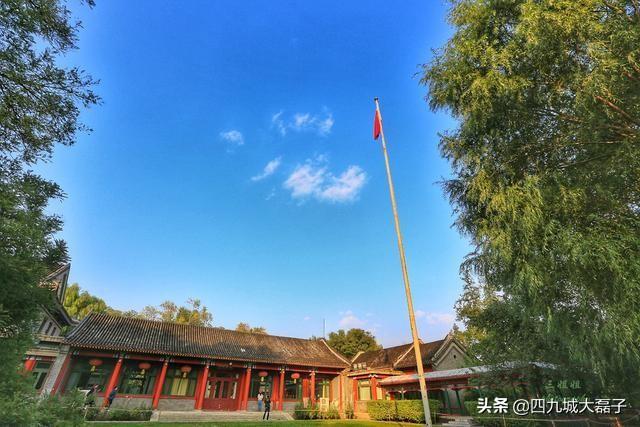 凤阁龙楼打一生肖、深度解析与文化寓意