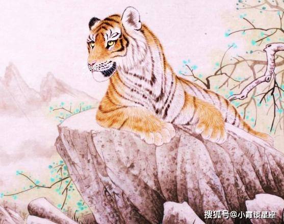 德打一生肖、喜欢作答落实解释