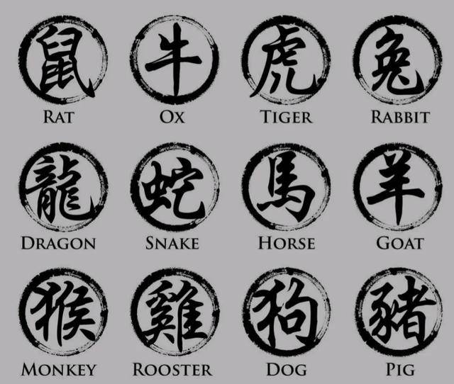 扬名天下打一生肖、揭秘背后的文化寓意