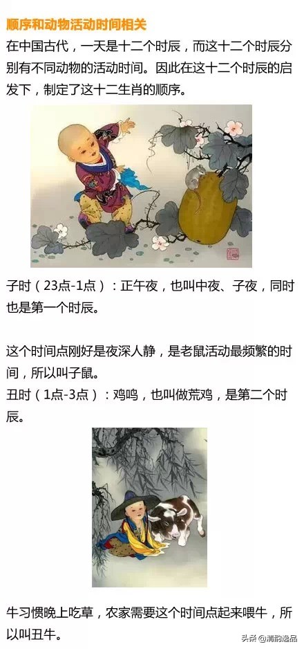 半夜三更打一生肖、的动物智慧与战略运用