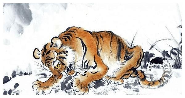 爬打一肖是什么生肖、背后的坚韧与不屈