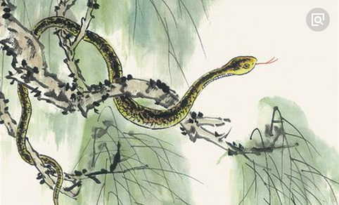 无媒苟合的智慧，生肖之舞的和谐共融