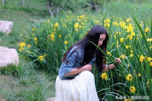 脱裤子放屁打一生肖，文化现象的深度解析与热议