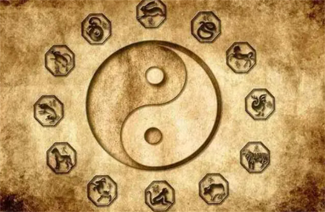 揭秘四柱与生肖的奥秘，实证解释与现实应用