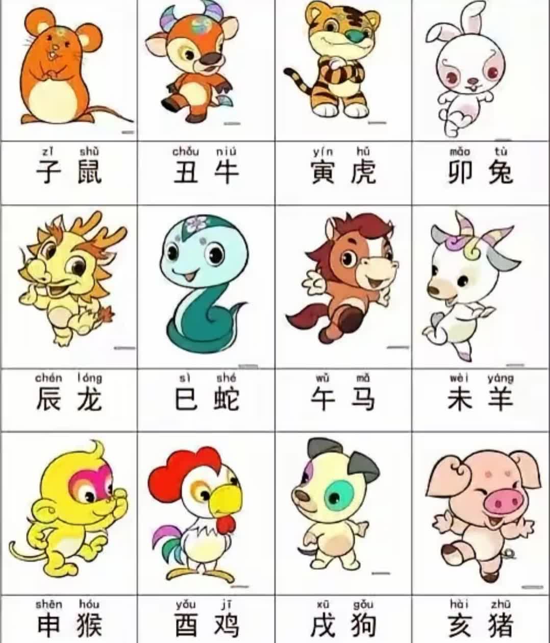 全面解析一五十十来生肖打一数与一语中的的奥秘