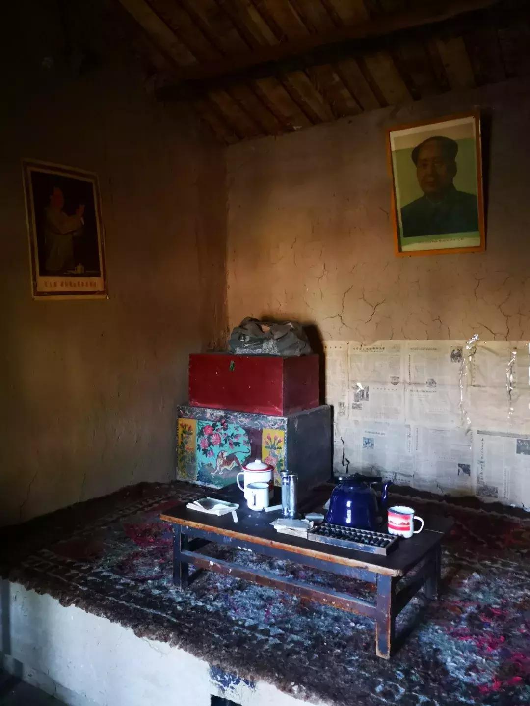 昭打一生肖，友爱作答，落实解释