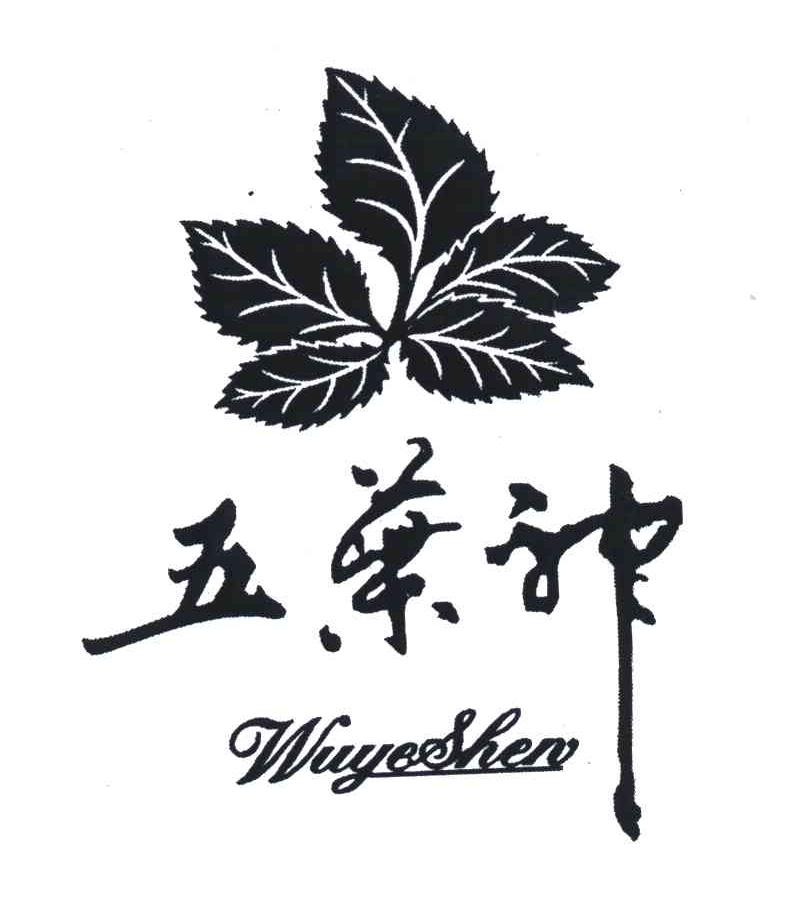 五叶神与生肖之谜，传统智慧与现代解说的奇妙融合