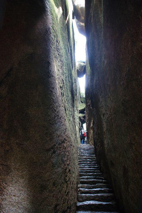 揭秘如何选择并落实正确的生肖策略，以今期生肖杀鼠打一肖为线索