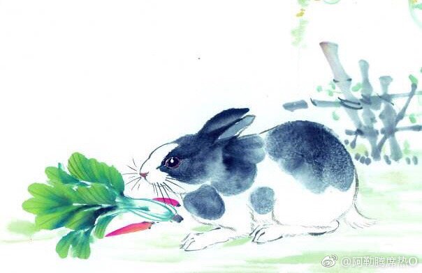 生肖在诗内打一肖、深度解析与文化寓意