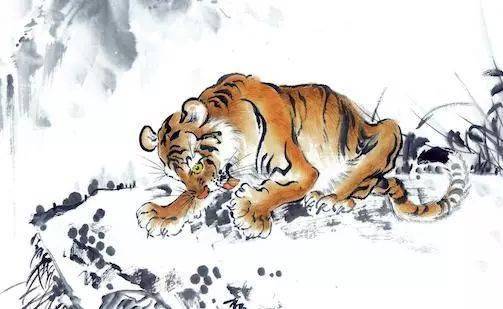 千年难逢打一生肖，揭秘与解析