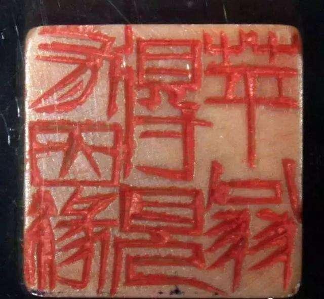 草木打一生肖,揭秘生肖背后的自然智慧 草木打一生肖,揭秘生肖背后的自然智慧