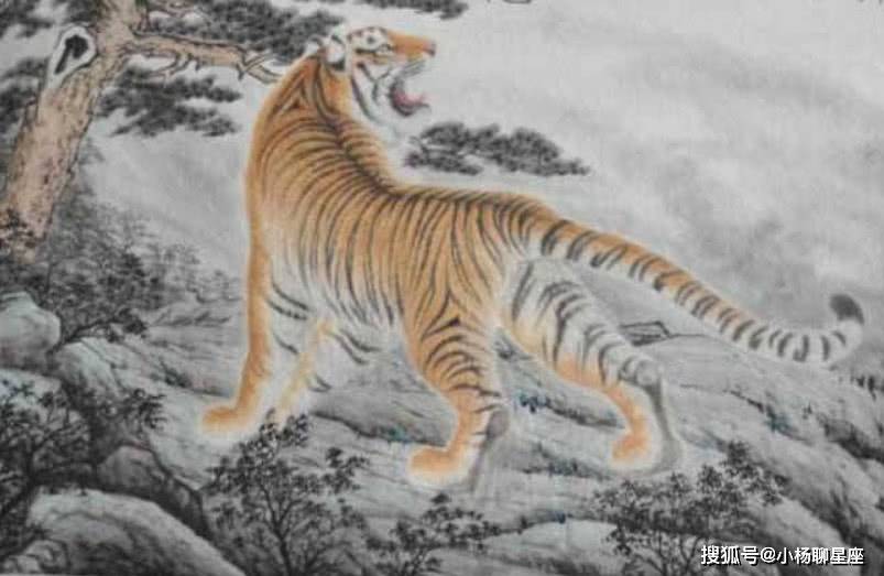 九年二虎在梦中打一生肖、采民作答落实解释