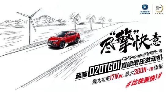 风驰云走打一生肖、选择解释落实