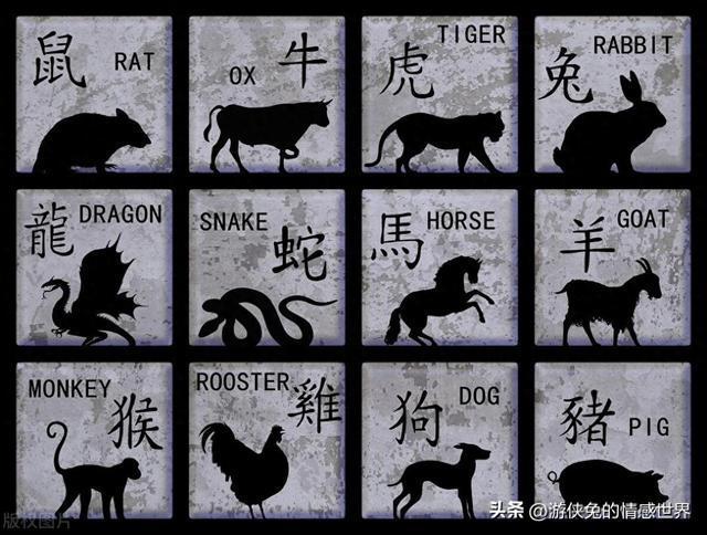 声传四方打一生肖、背后的坚韧与不屈 声传四方打一生肖、背后的坚韧与不屈