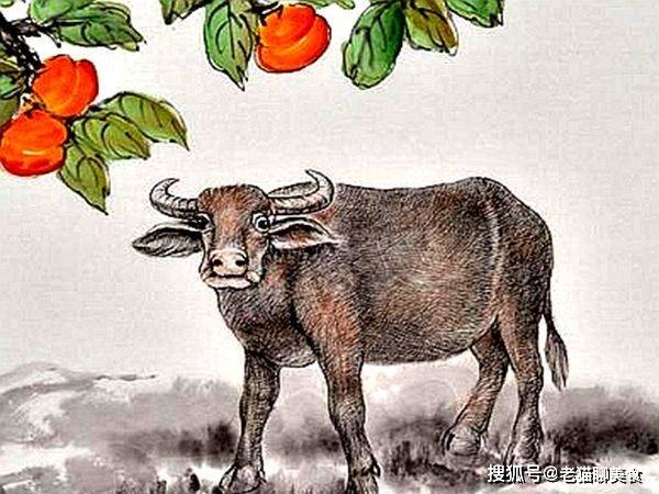 苦口打一生肖，精准解答与落实精神