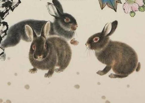 四海皆兄弟，生肖之谜与绝佳作答的深层解读