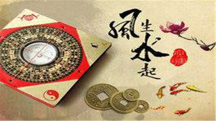 定数与生肖的奥秘,揭秘传统文化中的生肖寻打一肖 定数与生肖的奥秘,揭秘传统文化中的生肖寻打一肖