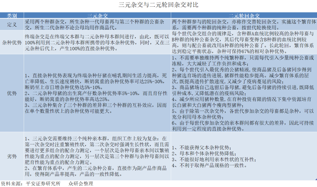 冠打一生肖、理想作答落实解释
