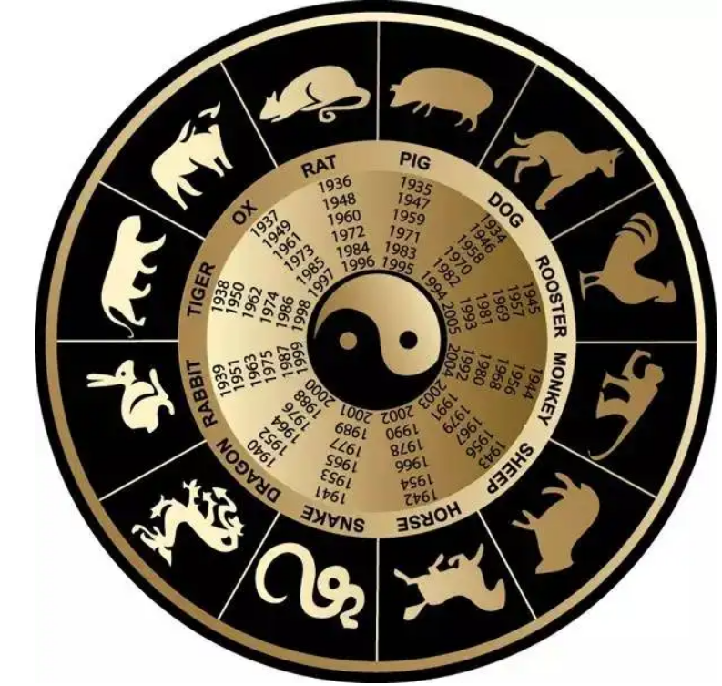 呼打一生肖，社会进步与文化解析的微妙交织